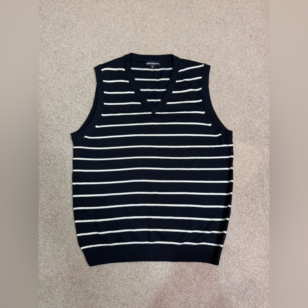 Express Design Studio Merino Wool Sweater Vest